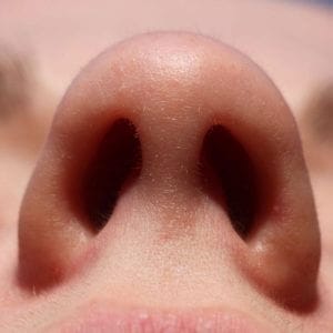 nostrils of nose