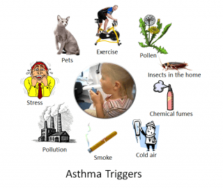 nine asthma triggers